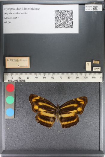 Media type: image;   Entomology 134712